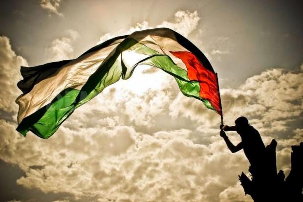 2762_1282231687-the-secrets-behind-the-palestinian-flag-_414349.jpg