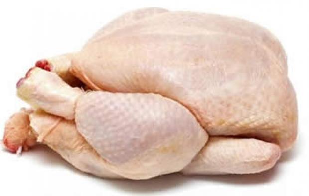 3692_pollo.jpg