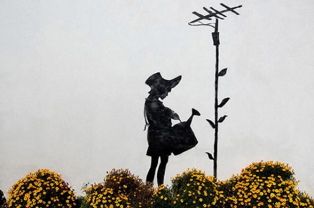 3830_flower-aerial-by-banksy.jpg