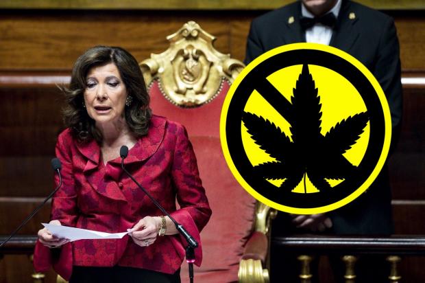 5068_cannabis-senato.jpg