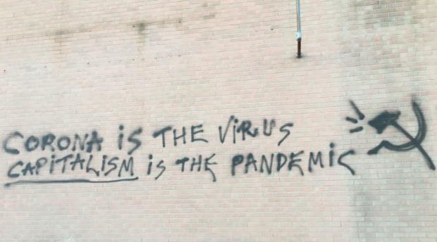 6173_coronacapitalism.jpg